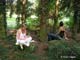 Scne dans un petit bois pour Laura et Charlotte  Olivier Vaughn